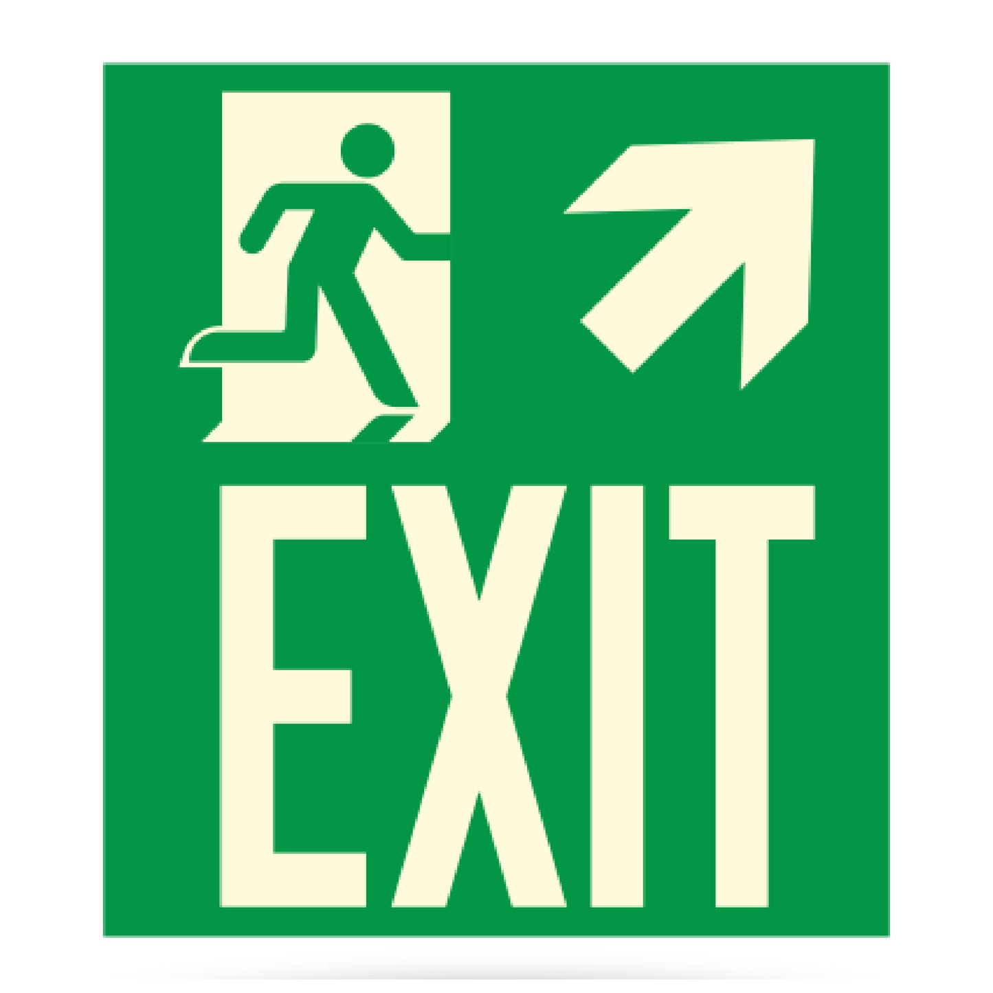 Photoluminescent Directional Exit Sign